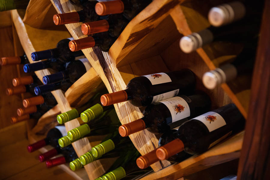 Chile fly fishing trips and lodges