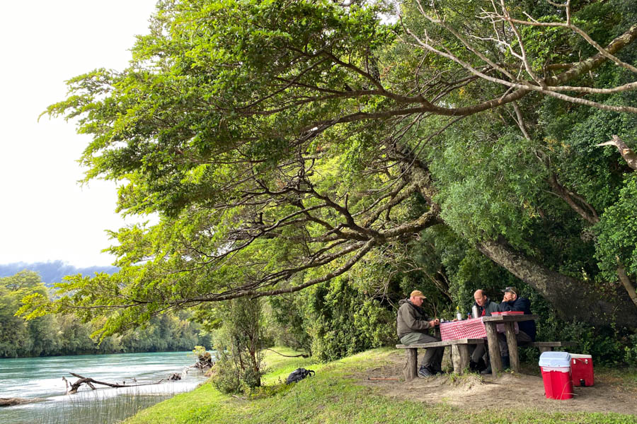 Chile fly fishing for big trout
