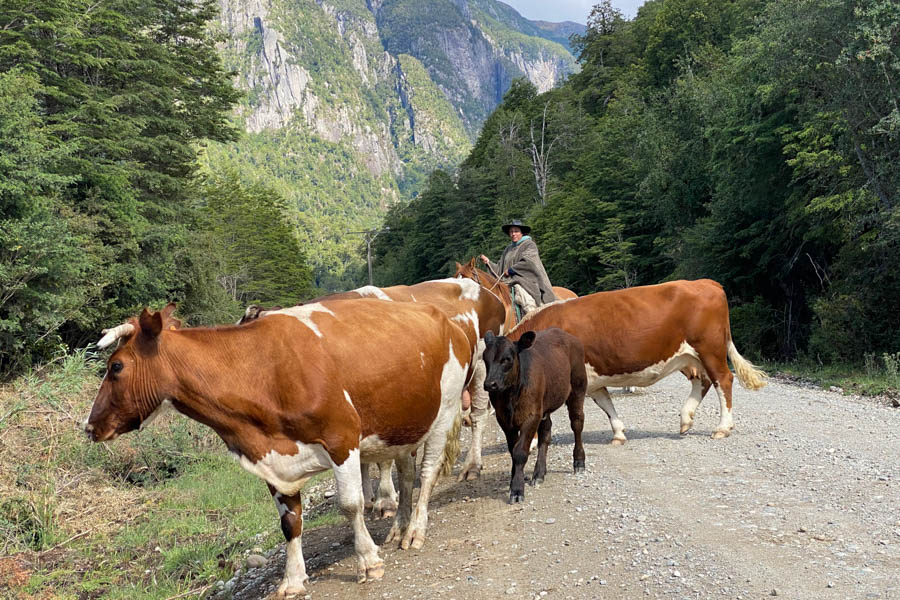 Martin Pescador lodge in Chile