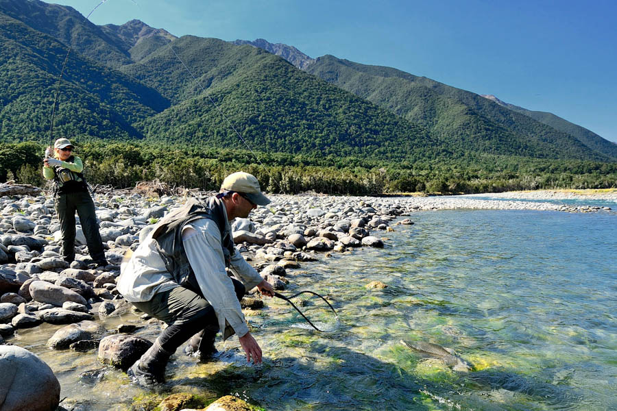 Big brown trout New Zealand fly fishing