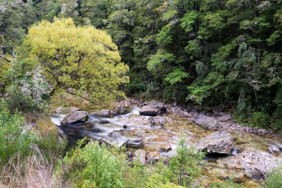 Lodges in New Zealand for fly fishing