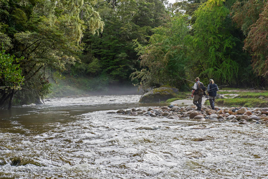 Sight fishing to big brown trout in New Zealand