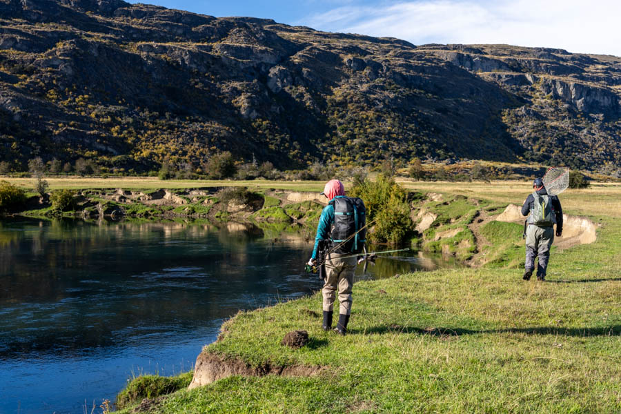 Big trout fly fishing in Chile