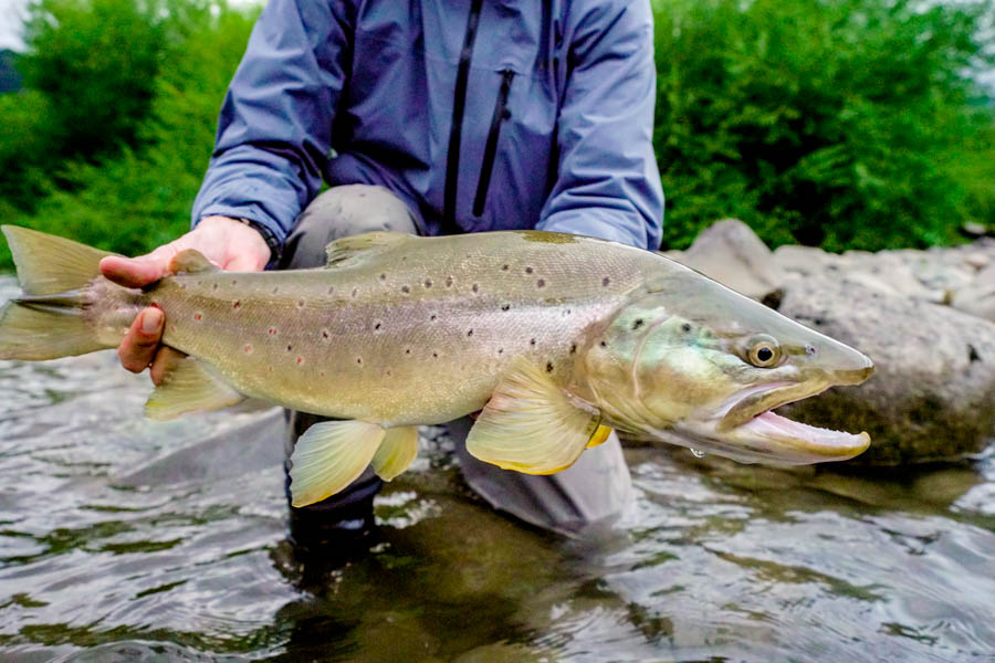 Lodge for Chile fly fishing trip