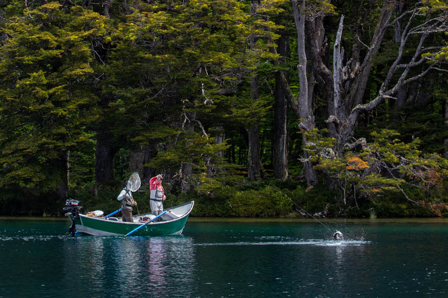 Trip to Chile for fly fishing