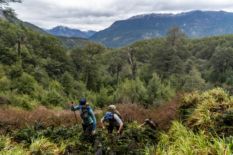Lodge for Chile fly fishing trip