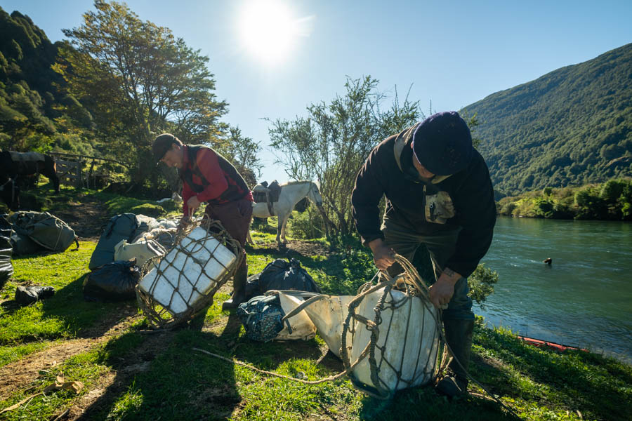Chile fly fishing trips for wild trout
