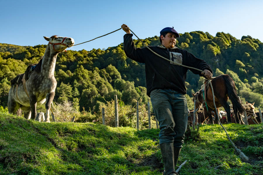 Trophy trout fishing in Chile