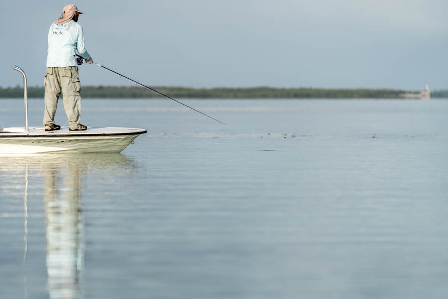 Bonefish in Cuba Bonefish in Cuba