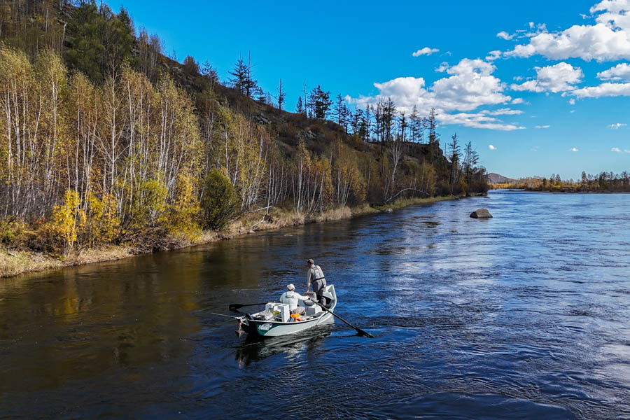 Fly fishing for taimen in Mongolia