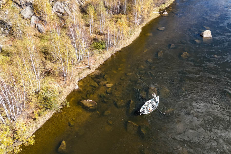 Fly fishing for taimen in Mongolia