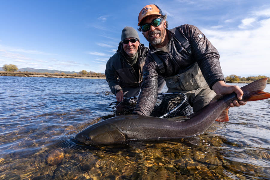 MA guest Bryan Schowalter with the largest taimen landed on the trip that taped just over 40 inches. 2 days later he hooked an even larger fly on the surface that straitened the hook!