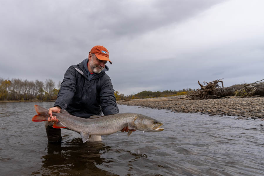 Trophy taimen fly fishing in Mongolia with Montana Angler