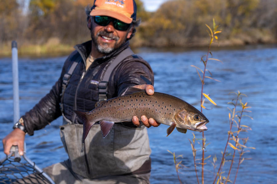 Mongolia fly fishing with Montana Angler