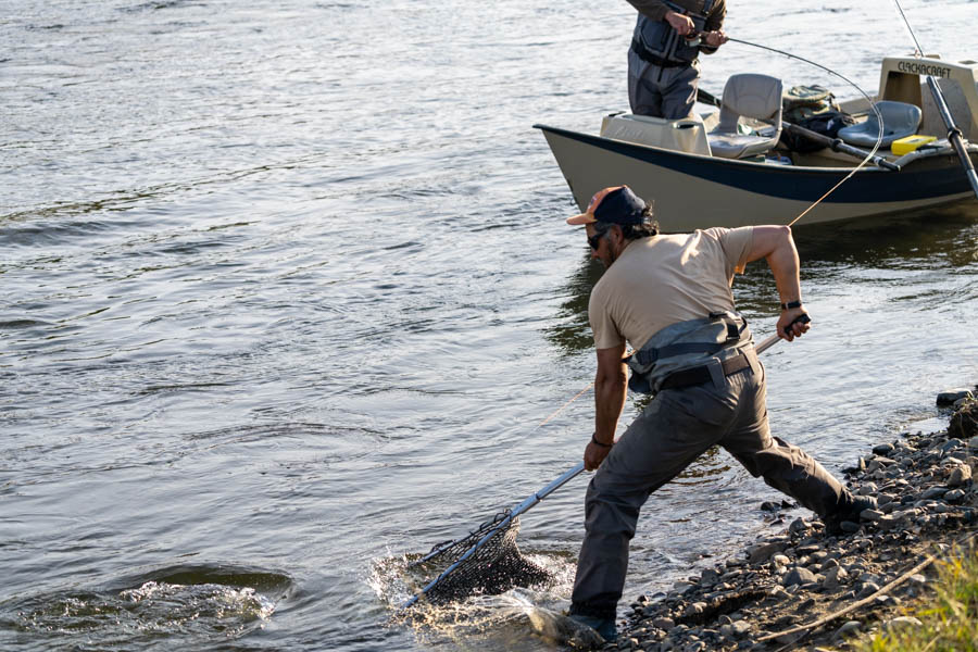 Taimen fly fishing trips in Montana