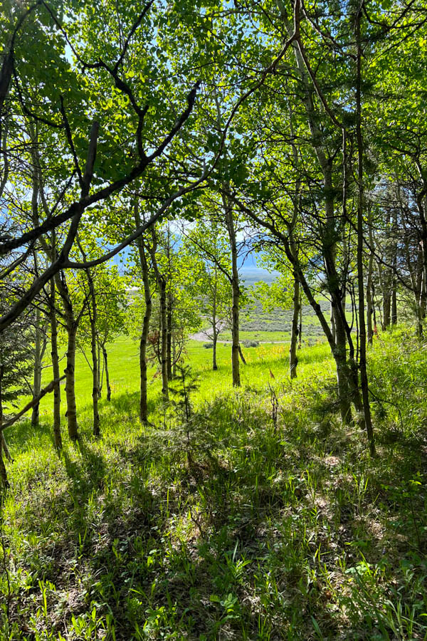 Ennis, MT vacation home