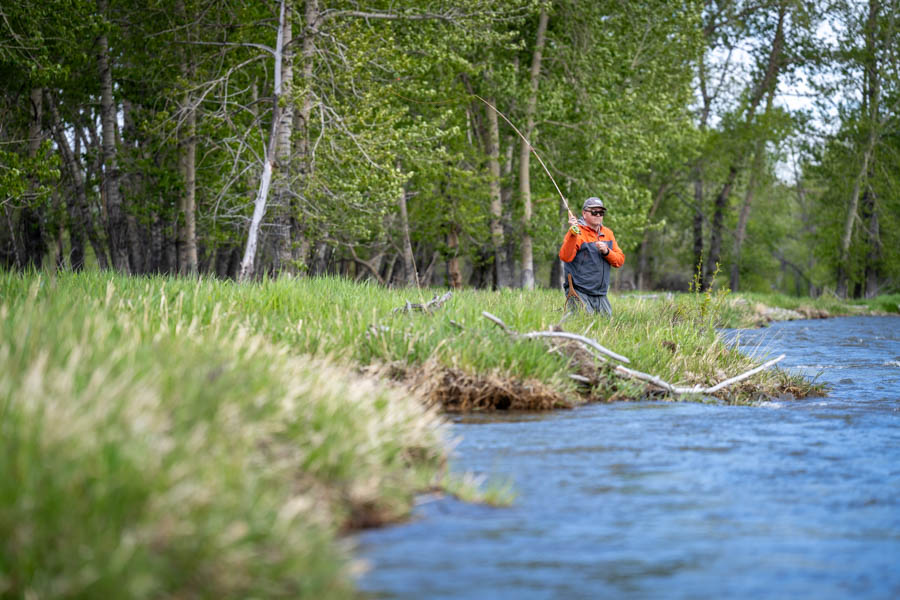 Montana Private Access Wade Fishing Sweet Grass Creek