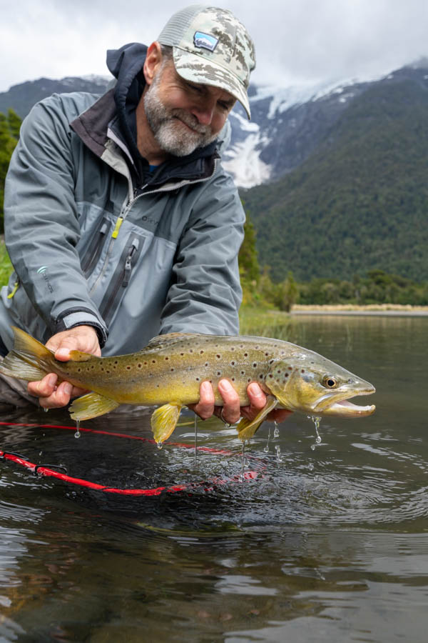 Chile brown trout