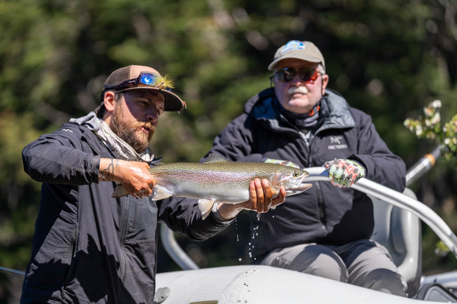 rainbow trout in Chile