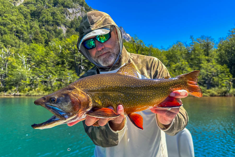 big brook trout in chile