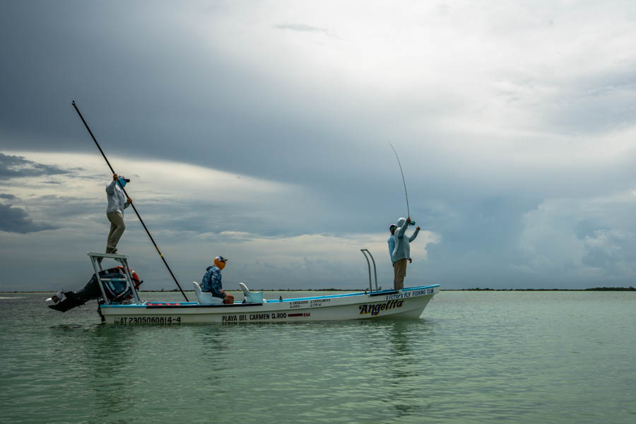 Mexico flats fly fishing Mexico flats fly fishing