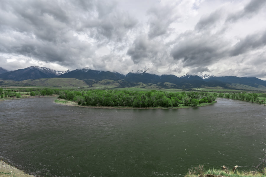 Fly fishing the Yellowstone River near Livingston, Montana Yellowstone River in mid June