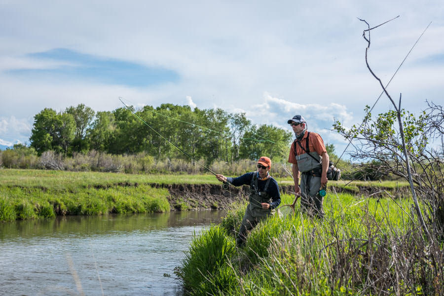Fly fishing the East Gallatin River in Montana East Gallatin River Montana