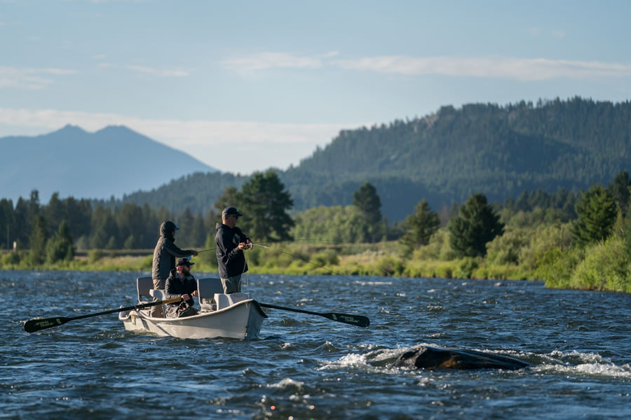 Madison River Montana fly fishing