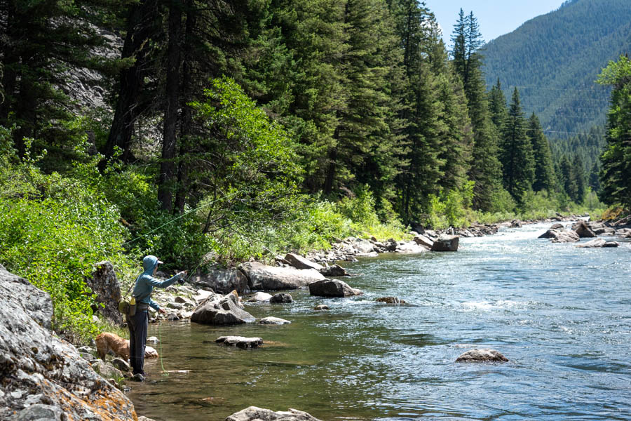 Montana fly fishing trips with Montana Angler Gallatin River fly fishing in July