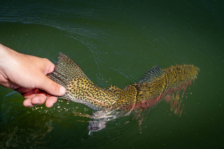 Montana Guided Fly Fishing Montana Private Lake Fishing
