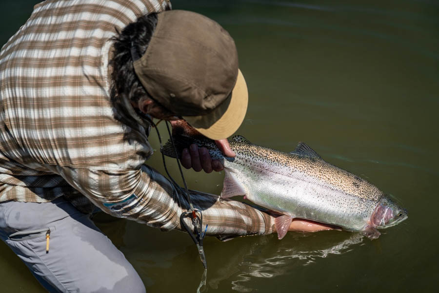 Montana Guided Fly Fishing Montana Private Lake Fishing