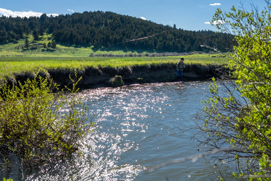 NF Smith River NF Smith River