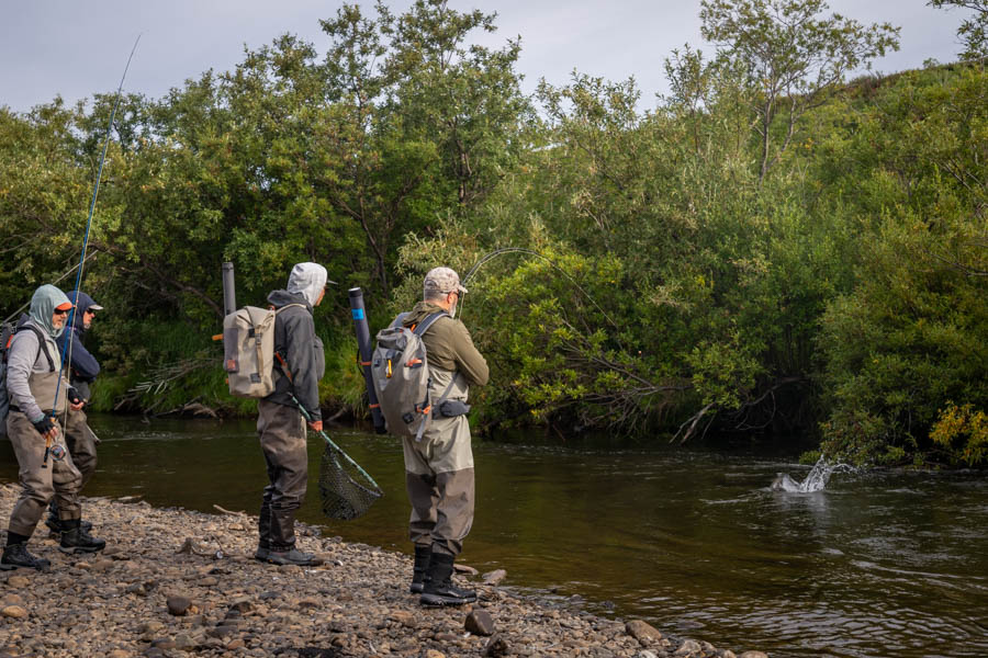 fishing AK trout