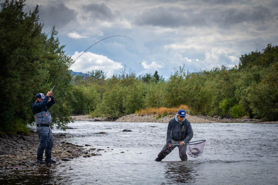 fly out fishing rainbow trout AK trout river