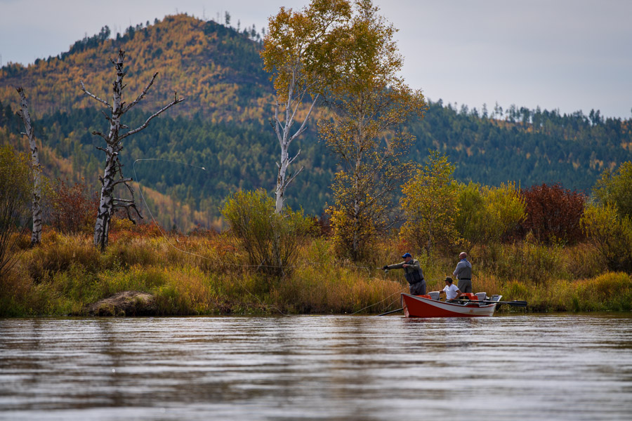Mongolian taimen fly fishing