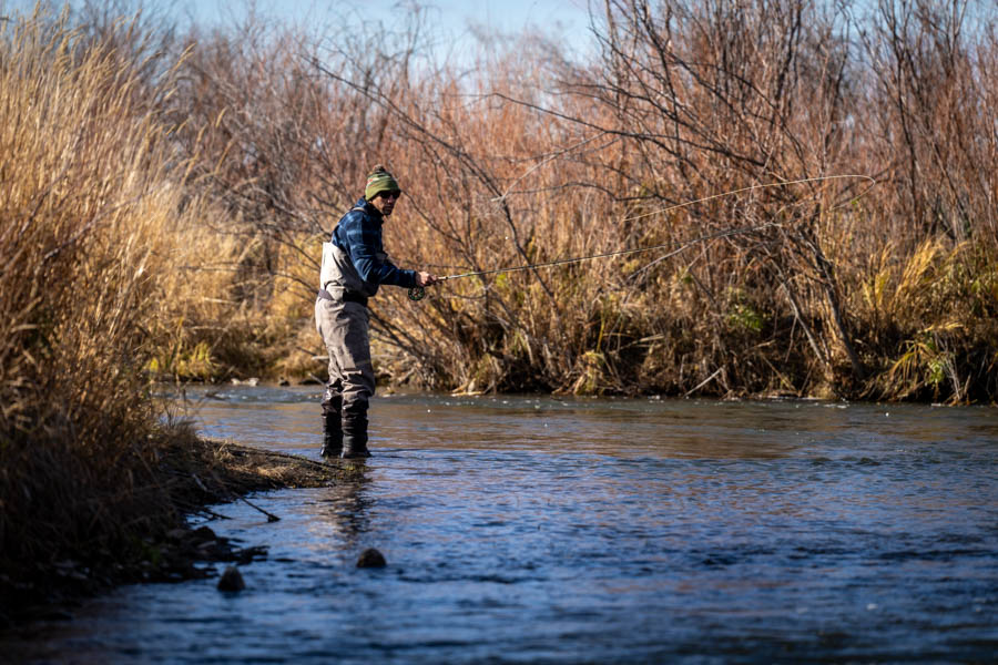 Spring creek fly fishing in the fall can be rewarding.
