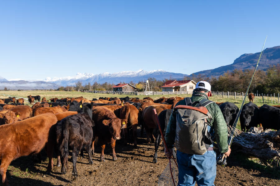 Chile fly fishing lodges