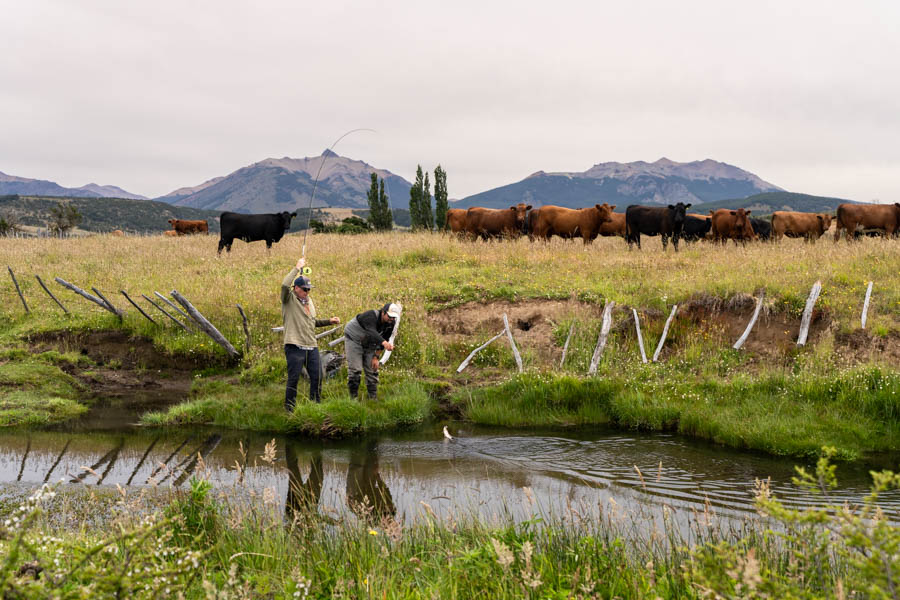 ルアー・フライ Patagonia Reinvest Patagonia Chile Hosted Fly Fishing Trip Report: Magic Waters
