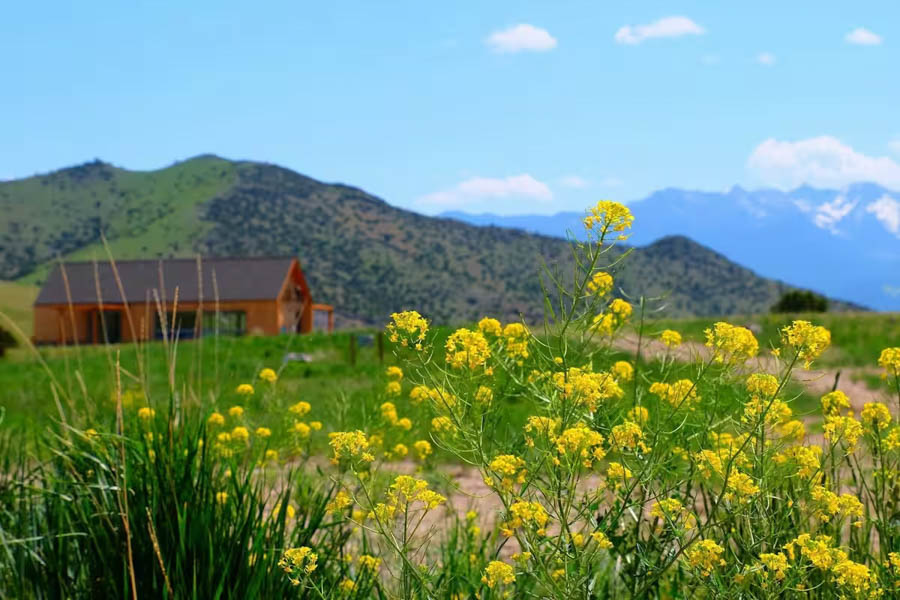 Sophia's House Erik's Ranch &amp; Retreat outside