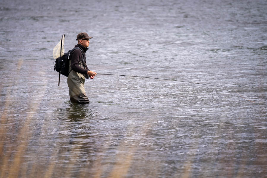 Gallatin River fly fishing