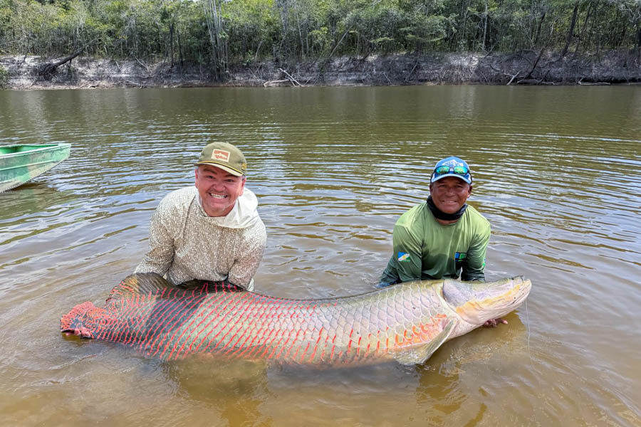 arapaima net fishing Guide Arapaima, Pirarucu, the true kings