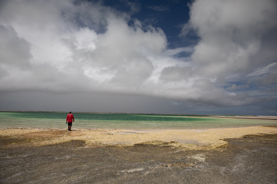 Christmas island fly fishing flats bones storm