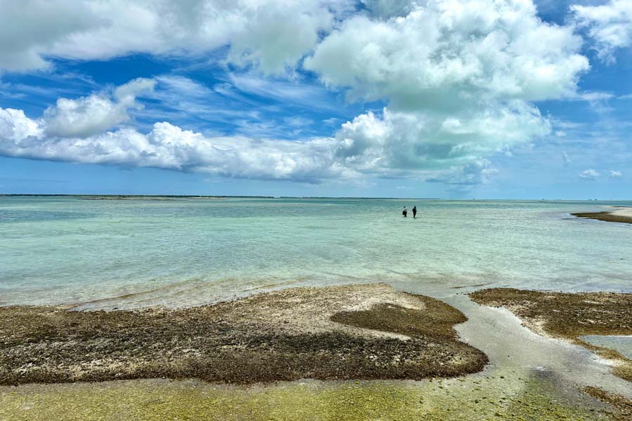 Christmas island fly fishing lodge wading 3