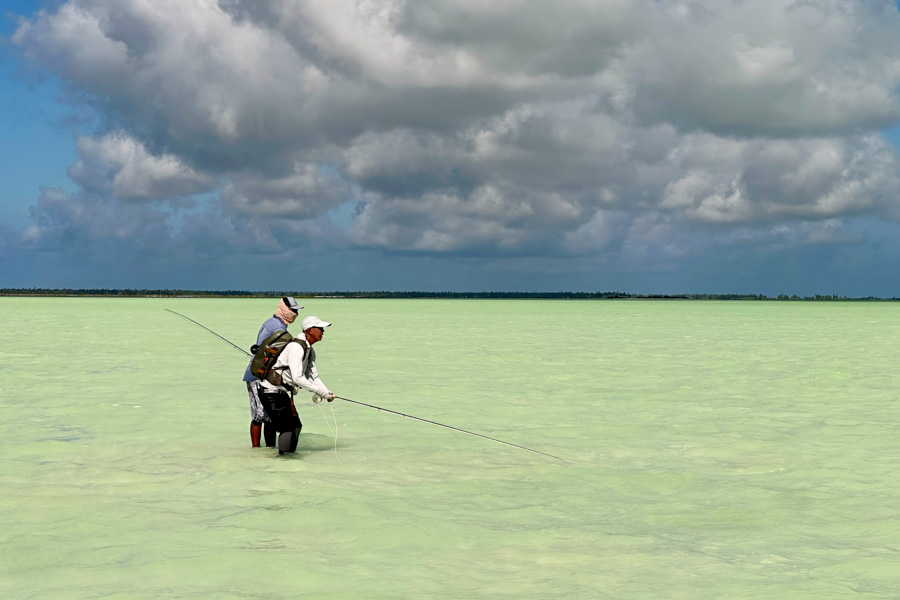 Christmas island wading flats