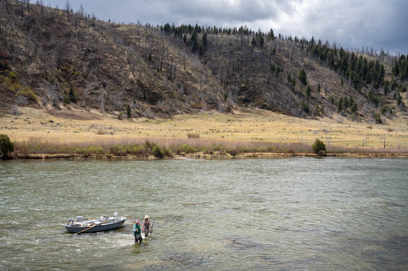 Madison River fly fishing trips
