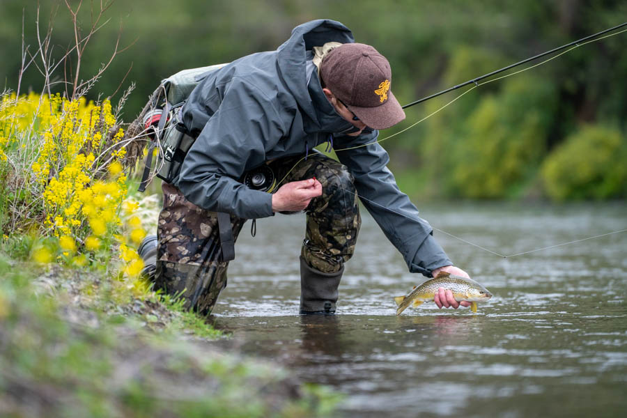 Montana Angler fly fishing trips near Bozeman