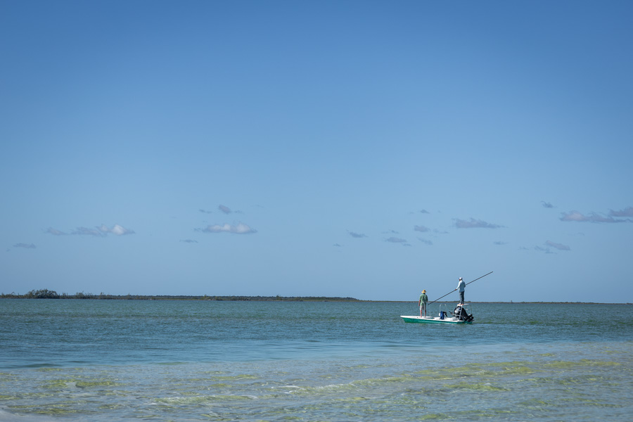 Mexico Fly Fishing