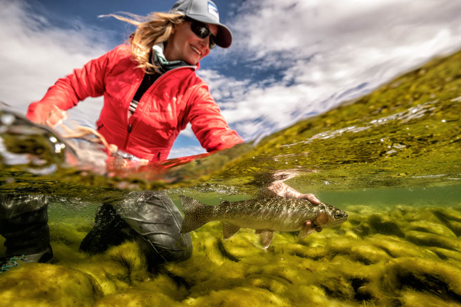 Brown Trout release in Argentina