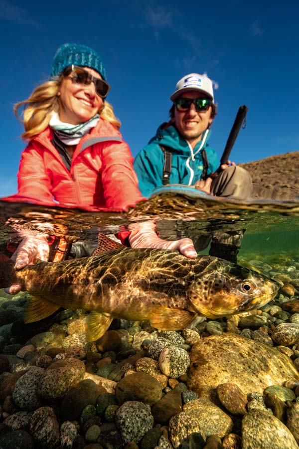 Release trout