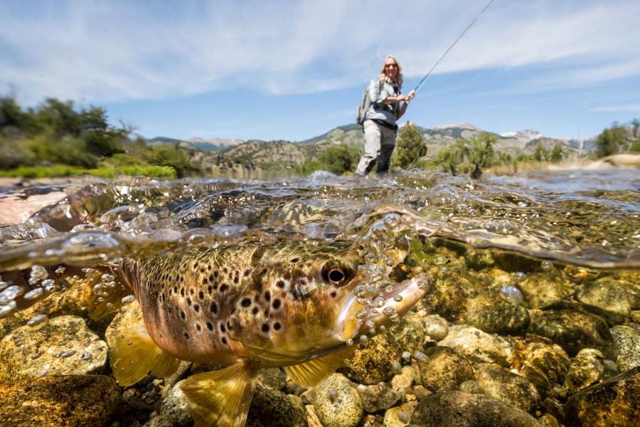 Walk and wade fishing in Argentina